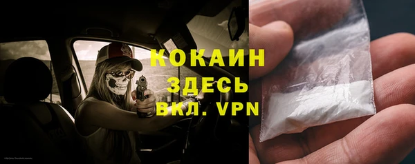 дживик Белокуриха