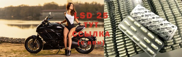 mdpv Баксан