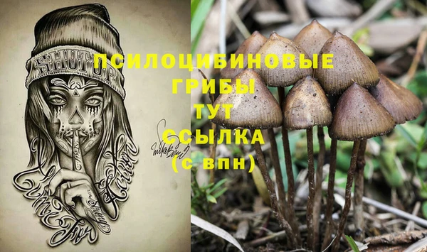 spice Сосновоборск