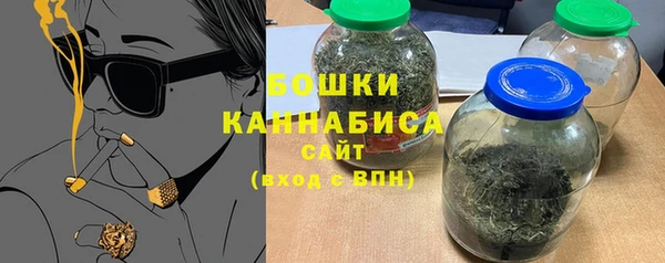 стаф Сосновый Бор